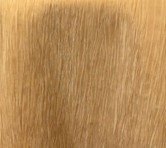 Gold Crinkle Tablecloth